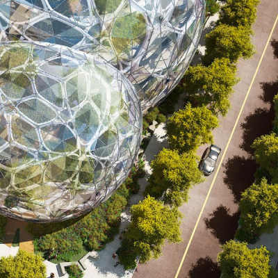 Amazon Biosphere